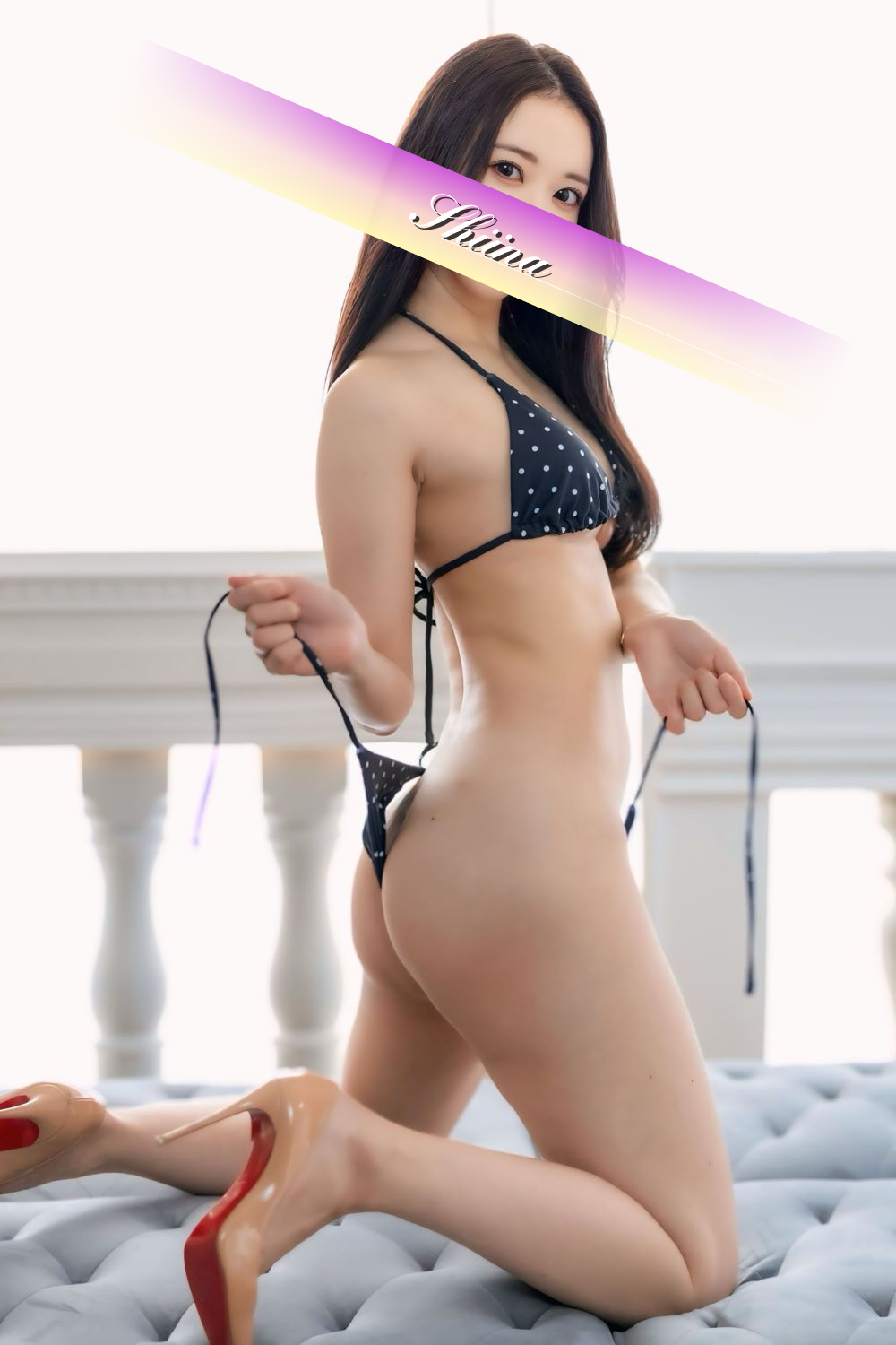 椎菜